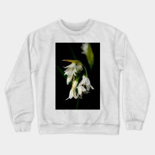 Wild Garlic Crewneck Sweatshirt